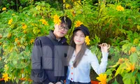 Giới trẻ xếp hàng từ 4 giờ sáng đi săn mây, ngắm hoa dã quỳ