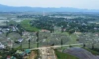 Tạm dừng kiểm kê đất đai cấp tỉnh đến khi hoàn thành sáp nhập