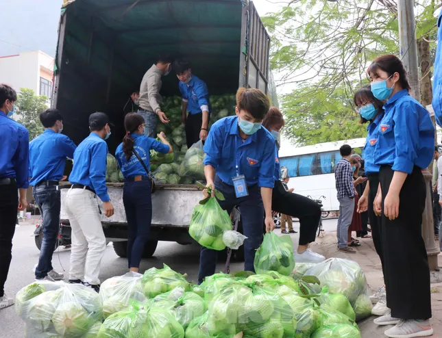 Tuổi trẻ Bắc Ninh hỗ trợ 'giải cứu' nông sản cho bà con Hải Dương ảnh 1